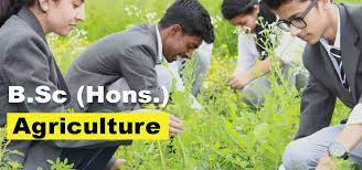 B.Sc Agriculture Courses